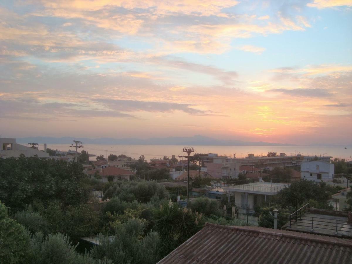 Smile House Near Athens Airport 300M From The Sea Villa Artemida  Bagian luar foto