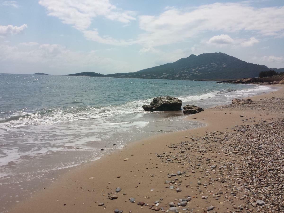Smile House Near Athens Airport 300M From The Sea Villa Artemida  Bagian luar foto