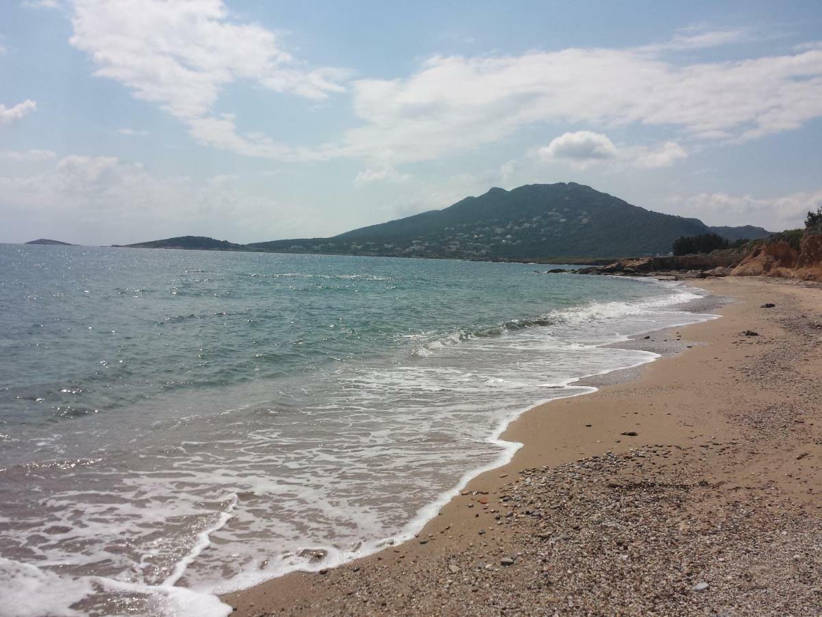 Smile House Near Athens Airport 300M From The Sea Villa Artemida  Bagian luar foto