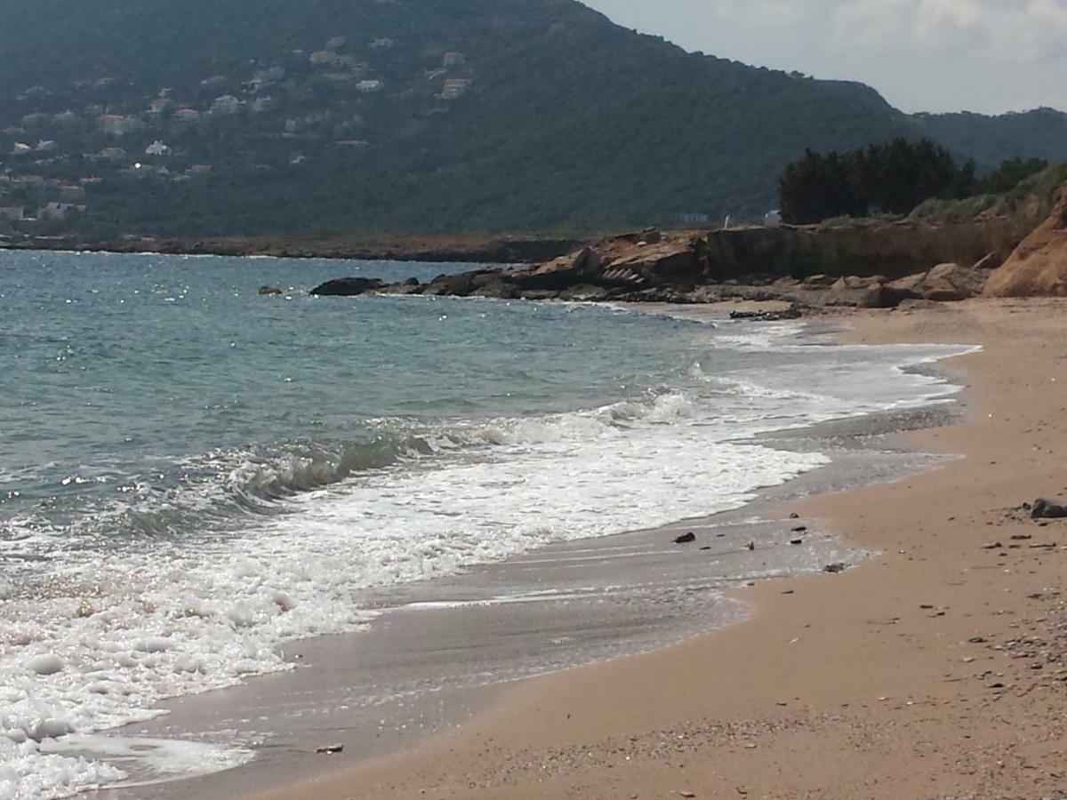 Smile House Near Athens Airport 300M From The Sea Villa Artemida  Bagian luar foto